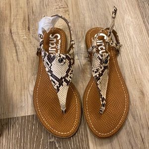 Sam Edelman circus sandals snakeskin